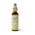 Bach Moutarde 20ml