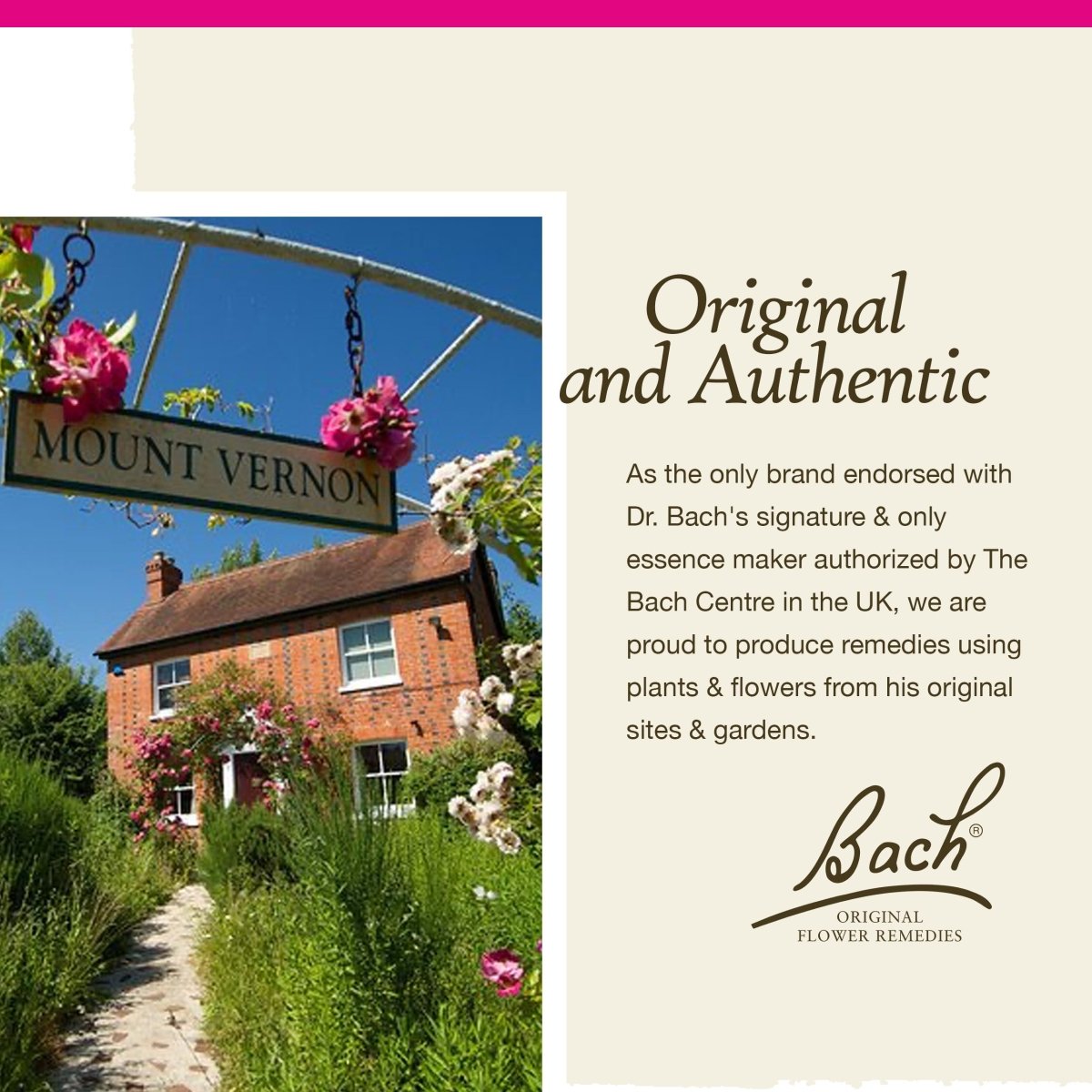Bach Saule 20 ml