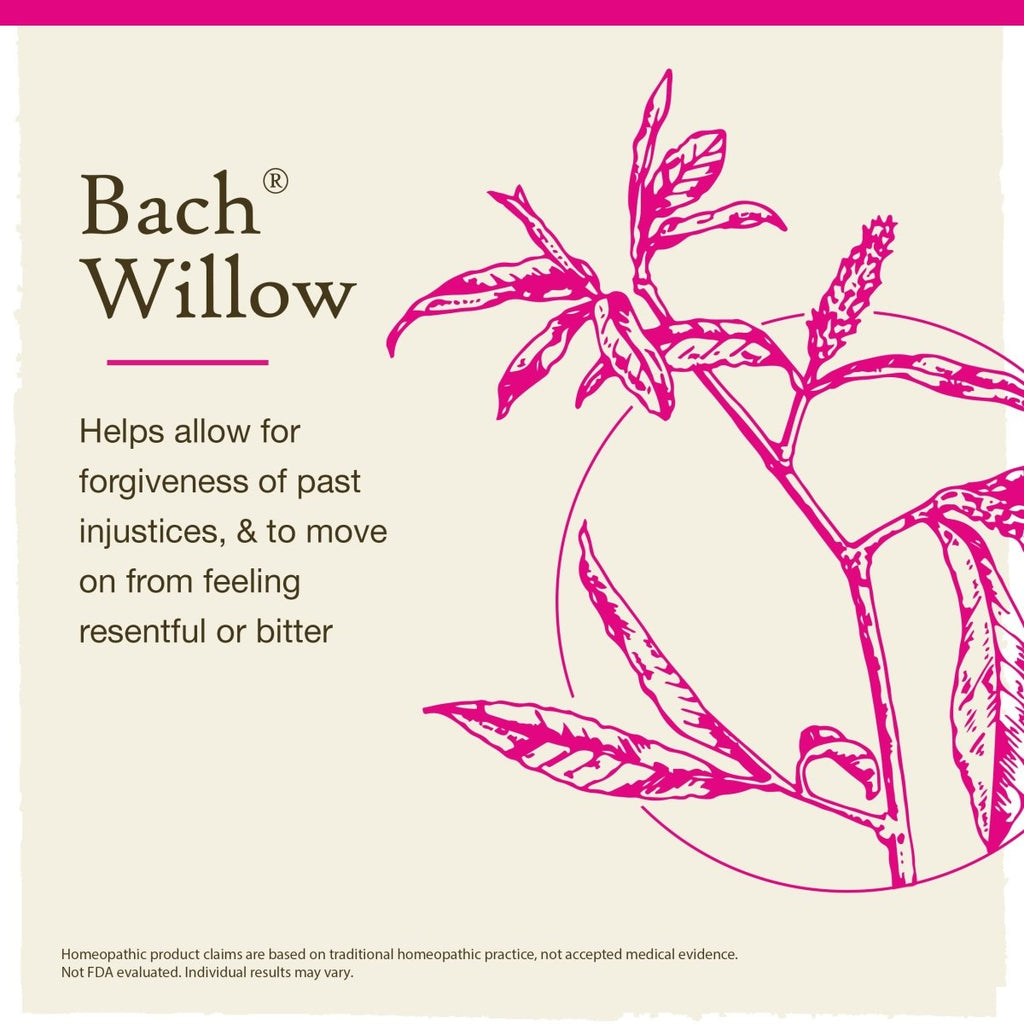Bach Saule 20 ml