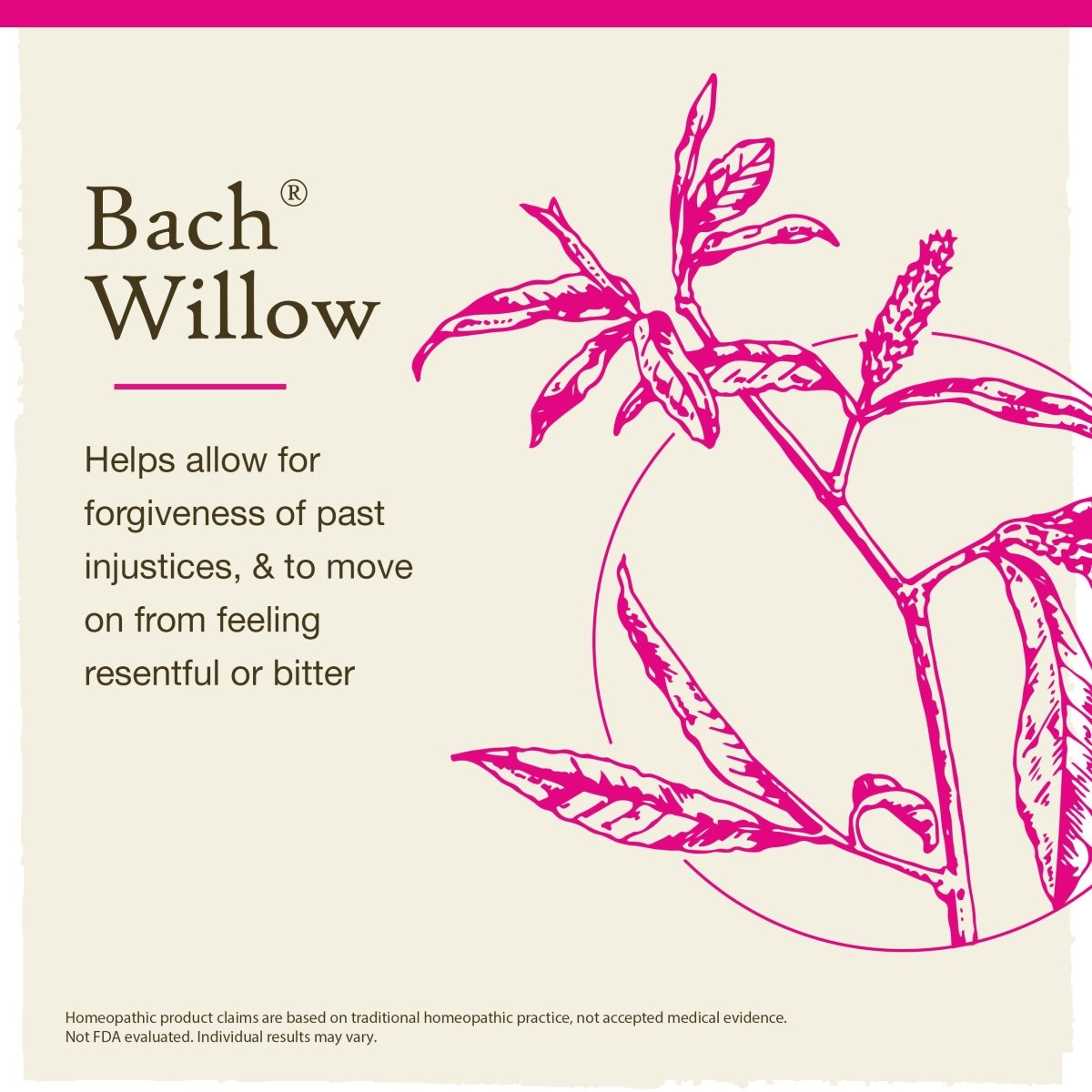 Bach Saule 20 ml