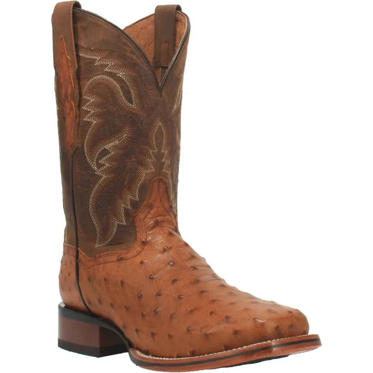 Dan Post Alamosa – Bottes de cowboy en cuir d'autruche pour homme