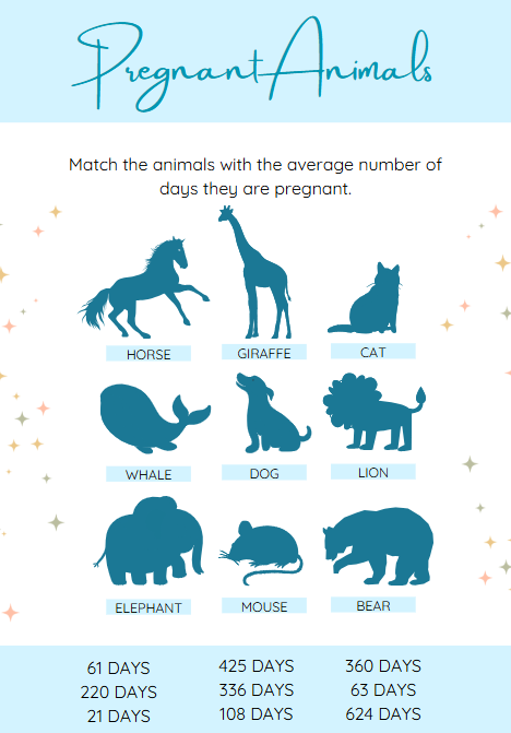 Pack de 50 jeux imprimables pour baby shower – Thème Petit Éléphant
