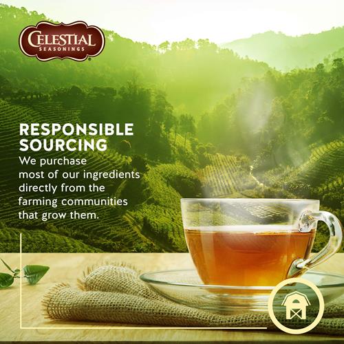 Tisane naturelle Celestial Seasonings, Pêche et Fruits de la Passion, 20 sachets