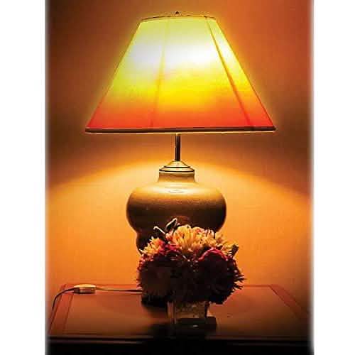 Ampoule à flamme Bell + Howell : ampoule à LED à effet de flamme réaliste vacillante