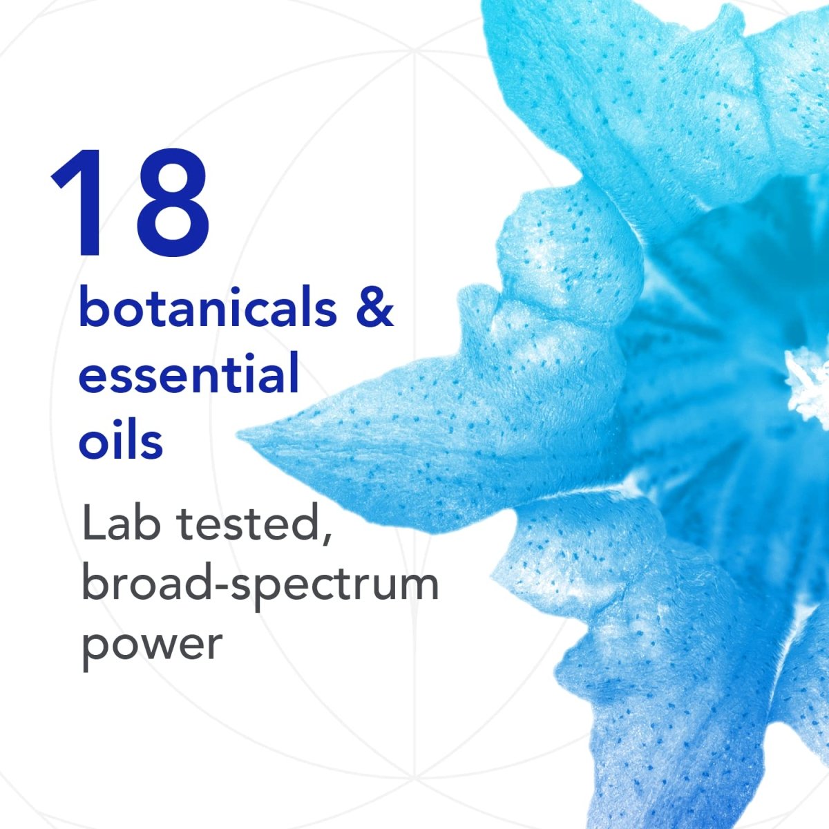 Bio-Botanical Research Biocidin LSF Éliminer Liposomal à large spectre 50 ml