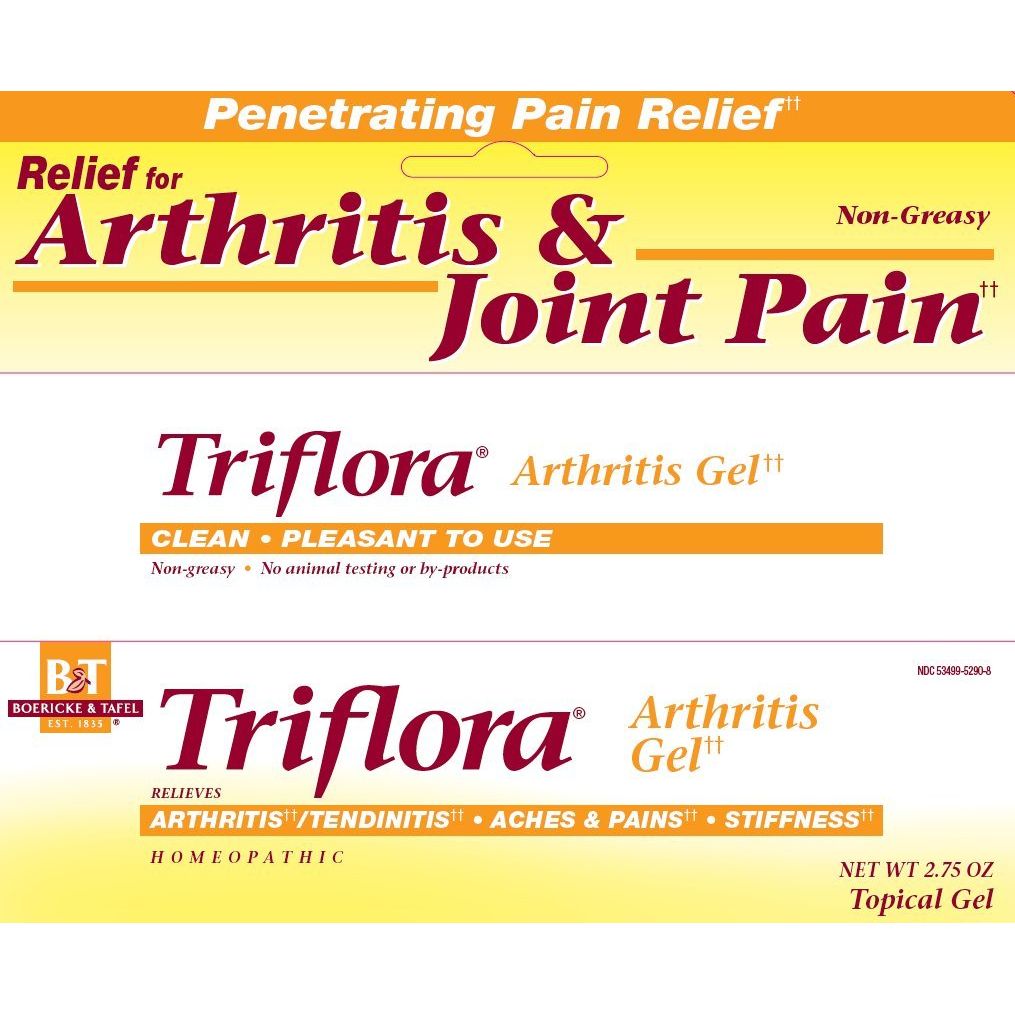 Boericke & Tafel Triflora Arthritis Gel – Soulagement naturel des douleurs arthritiques