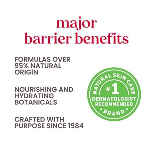 Burts Bees Purifying Facial Towelettes With White Tea, Pre-Moistened Towelettes For All Skin Types, 99.1 Percent Natural Origin Skin Care, 30 Ct. Package