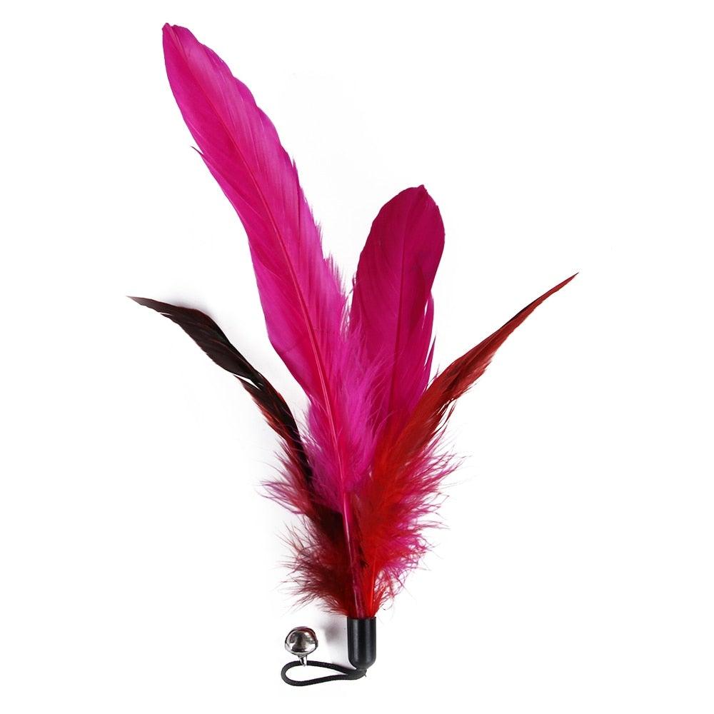 Lot de jouets à plume pour chat, baguette teaser pour chatons, pour amuser et faire faire de l'exercice aux chats, jouets interactifs sans la canne, baguette rétractable et recharges de plumes, jouets pour chat d'intérieur