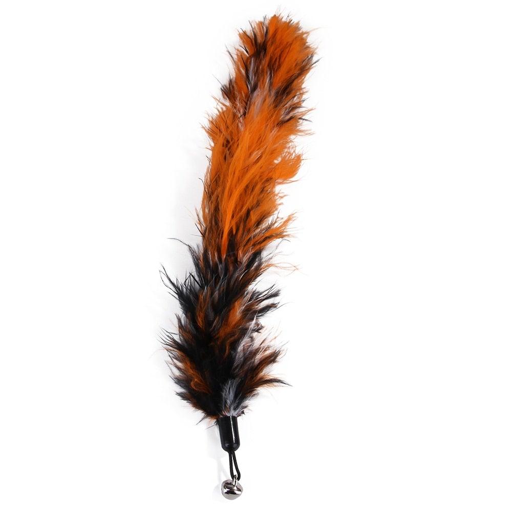 Lot de jouets à plume pour chat, baguette teaser pour chatons, pour amuser et faire faire de l'exercice aux chats, jouets interactifs sans la canne, baguette rétractable et recharges de plumes, jouets pour chat d'intérieur