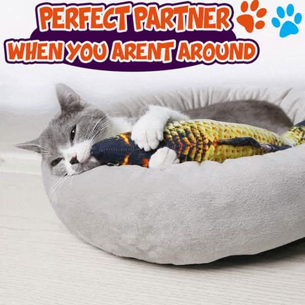 Jouet poisson pour chats