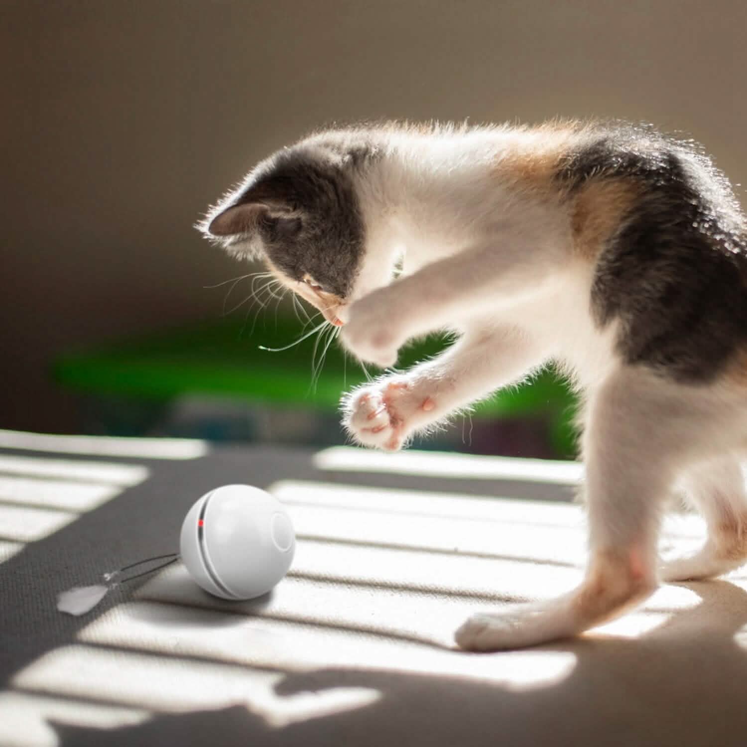 Balle à Suspendre Interactive Rotative Automatique Jouet d'Exercice pour Chat