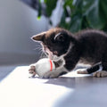 Balle à Suspendre Interactive Rotative Automatique Jouet d'Exercice pour Chat