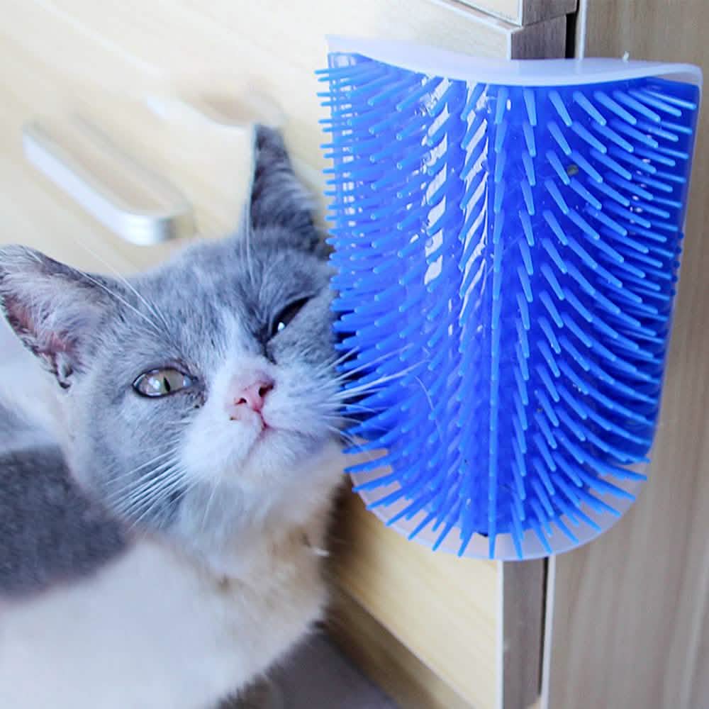 Toiletteur de jouets pour chats