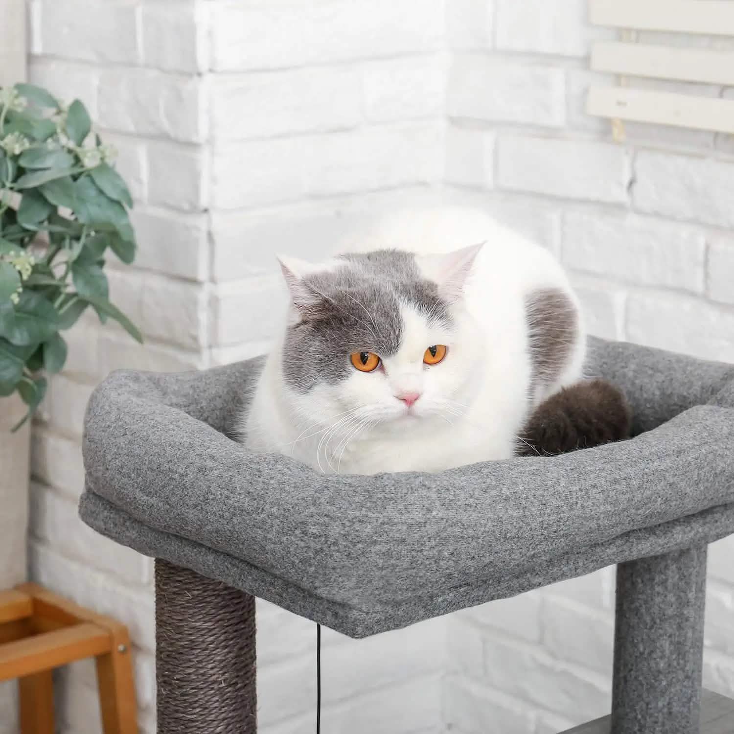 Arbre à chat de luxe 86 cm