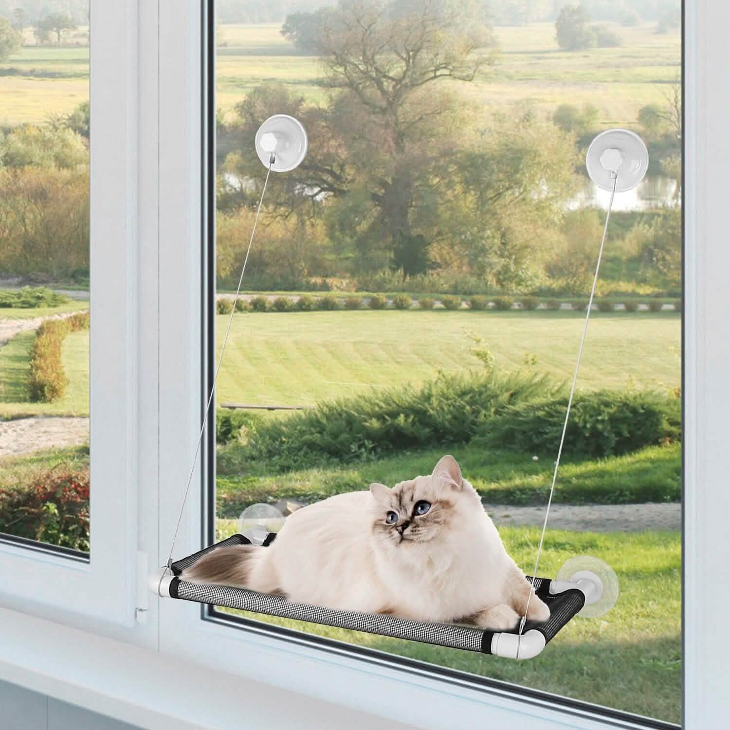 Perchoir de fenêtre pour chat, hamac de fenêtre pour chat