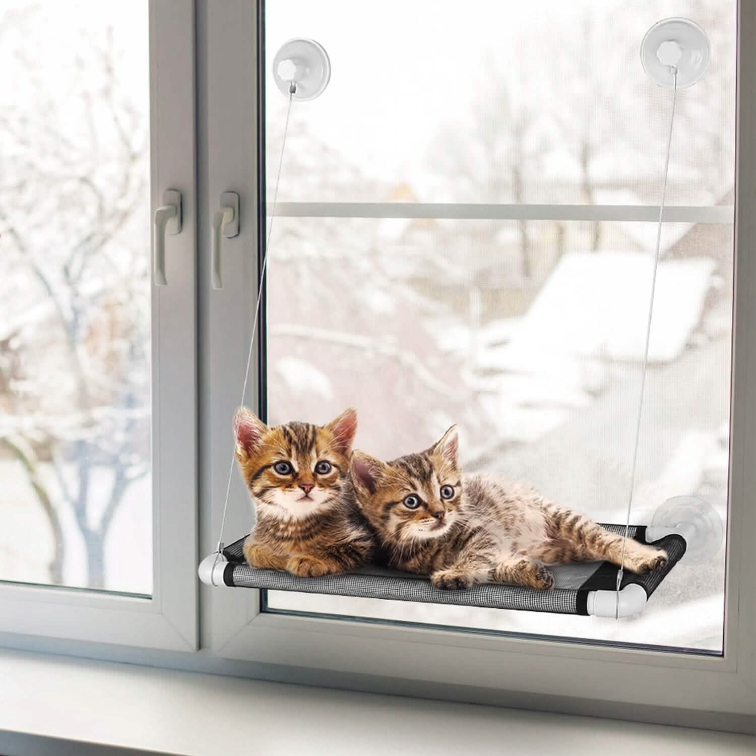 Perchoir de fenêtre pour chat, hamac de fenêtre pour chat