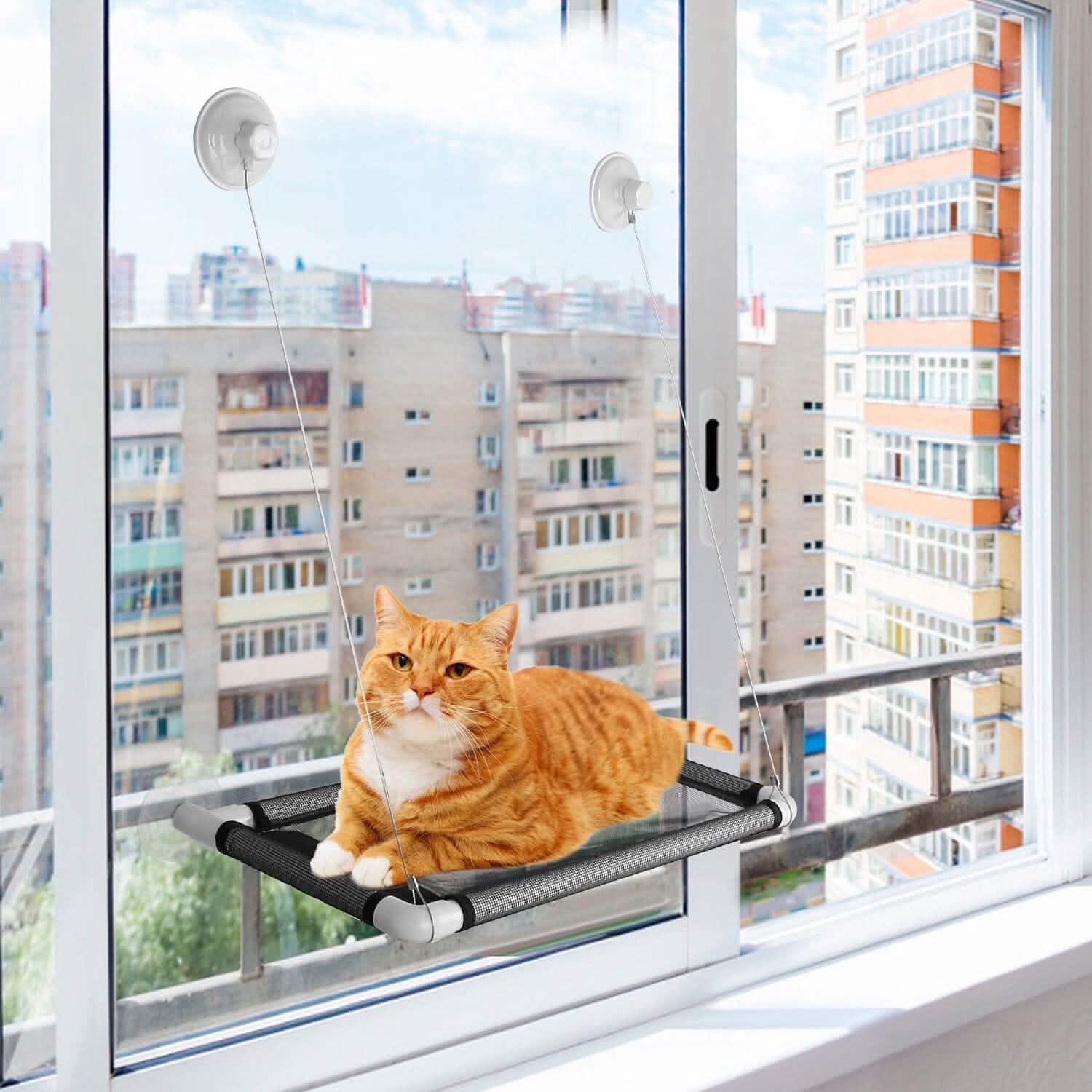Perchoir de fenêtre pour chat, hamac de fenêtre pour chat