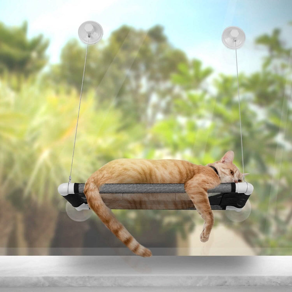 Perchoir de fenêtre pour chat, hamac de fenêtre pour chat