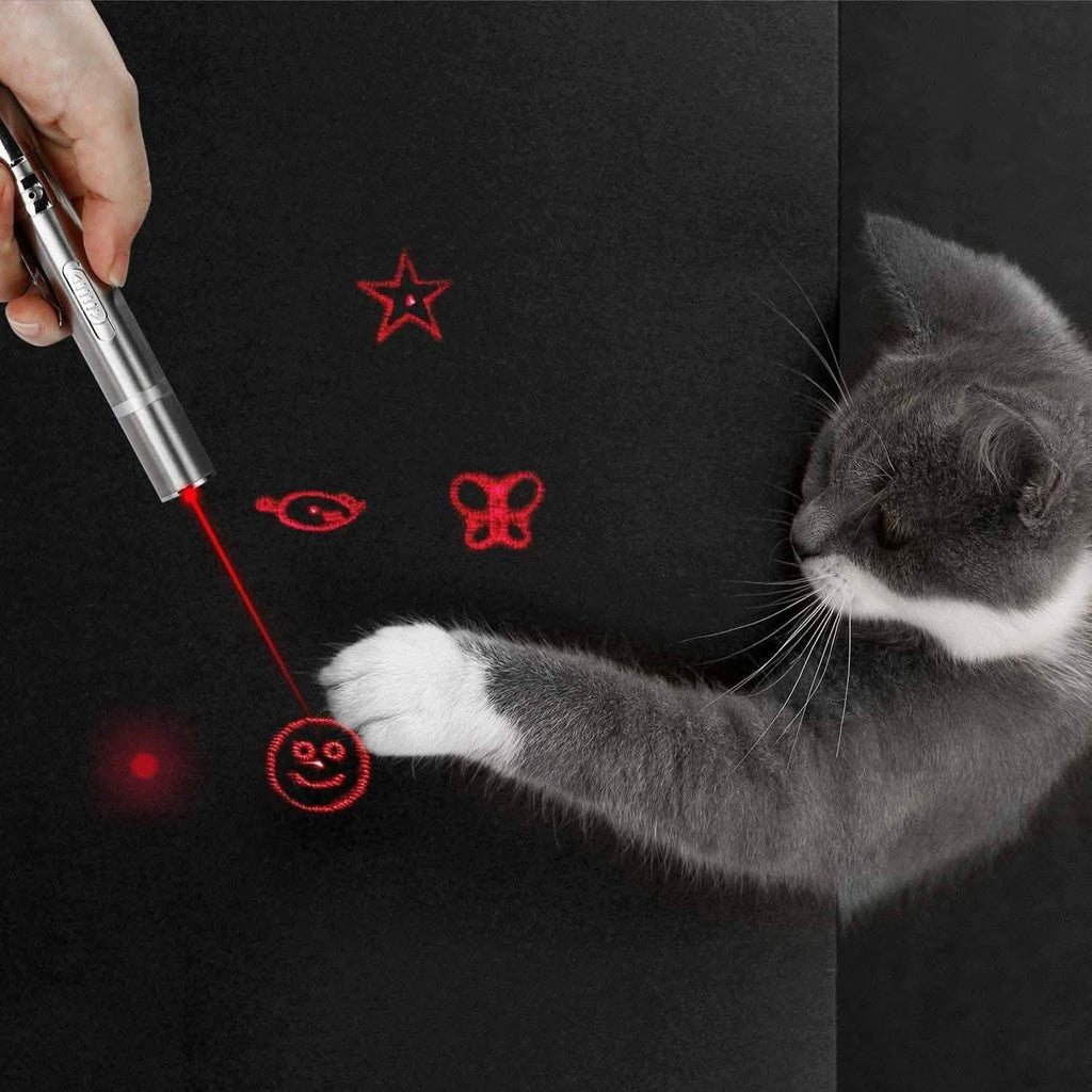 Jouet laser intérieur et extérieur pour chats