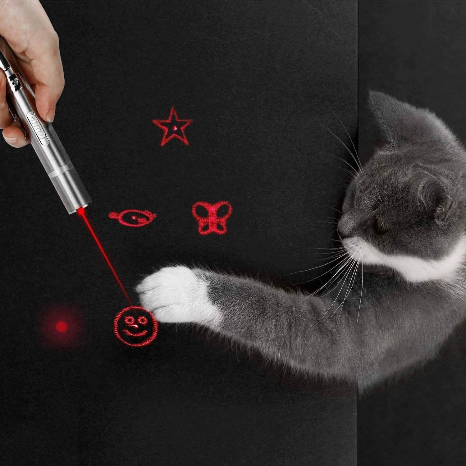 Jouet laser intérieur et extérieur pour chats