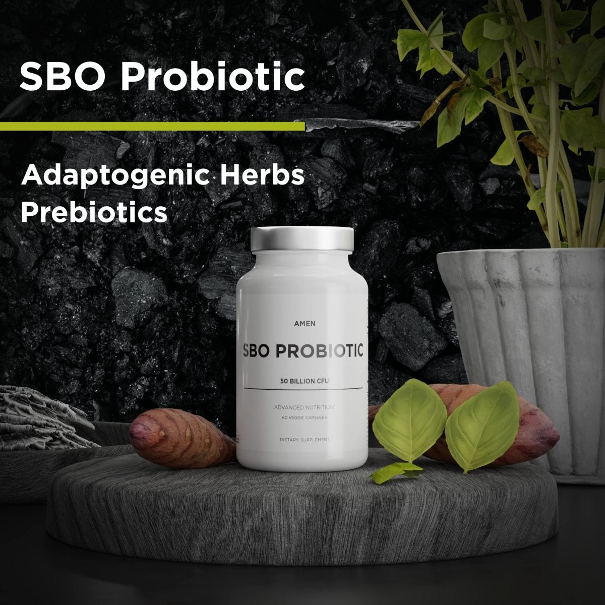 Codeage - Amen SBO Probiotique avec Prébiotiques - 60 Gélule(s) Végétale(s)