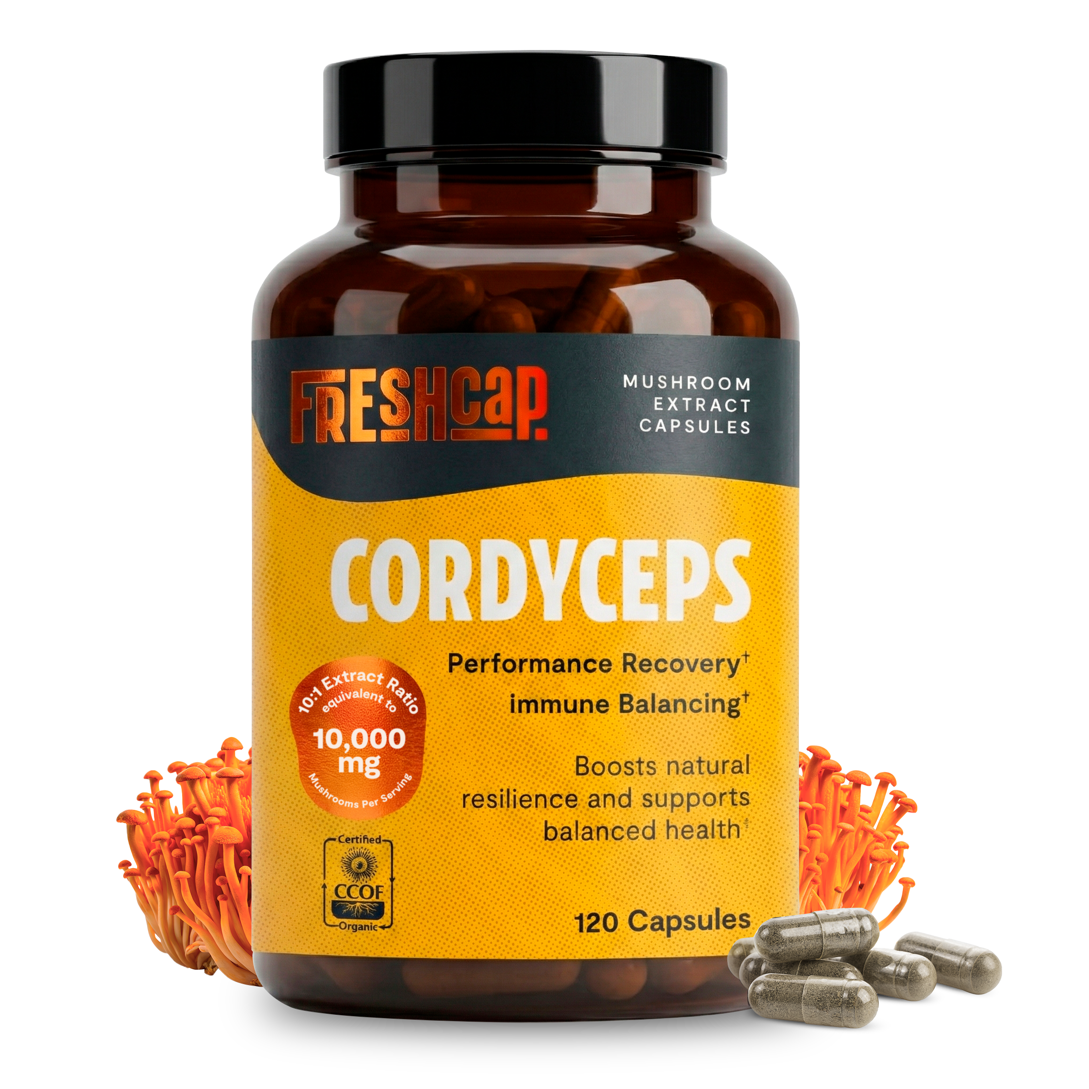 Gélules de Cordyceps Biologique