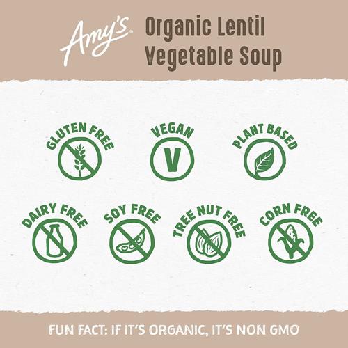 Soupe aux lentilles et aux légumes d'Amy - 411 g