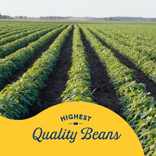 Haricots rouges clairs en conserve Bush's (Paquet de 1), Bonne source de protéines végétales, Bonne source de fibres, Sans gras, Sans gluten, 453 g