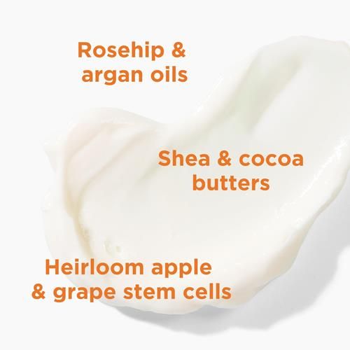 Andalou Naturals Lait Corporel Vitalisant, Hydratant Corporel Mandarine Vanille, 237 ml, Beurre de Karité, Beurre de Cacao, Huile d'Argan, Huile de Rose Musquée & Aloe Vera, Vegan