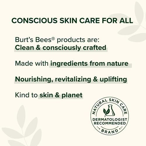 Burts Bees 100% Natural Moisturizing Lip Balm, Pomegranate With Beeswax And Fruit Extracts, 1 Tube