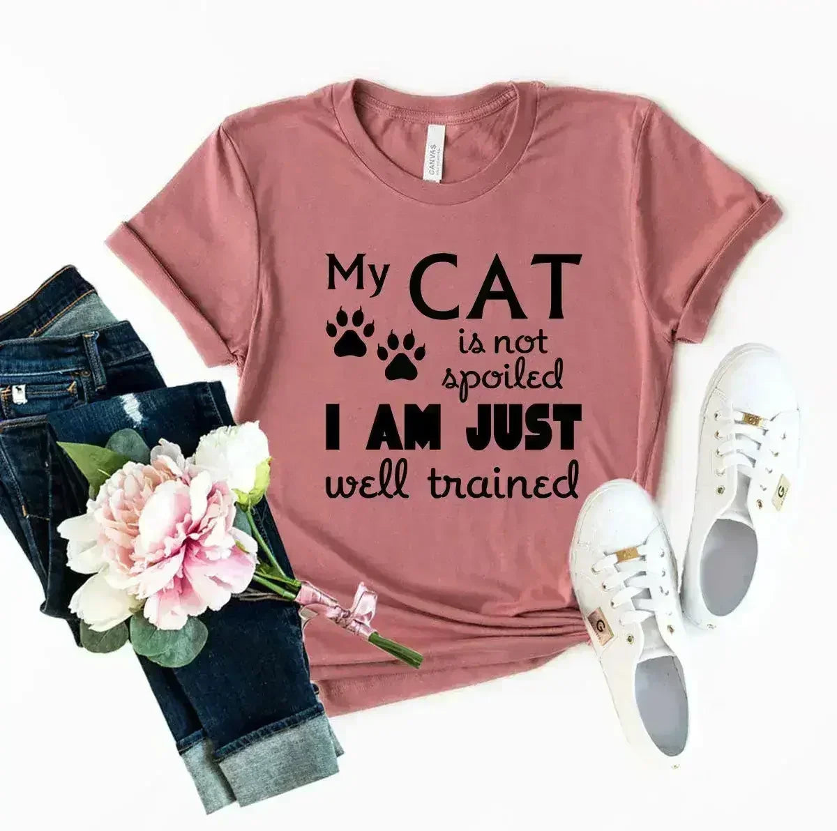 DT0175 Ma chemise Mon chat n'est pas gâté