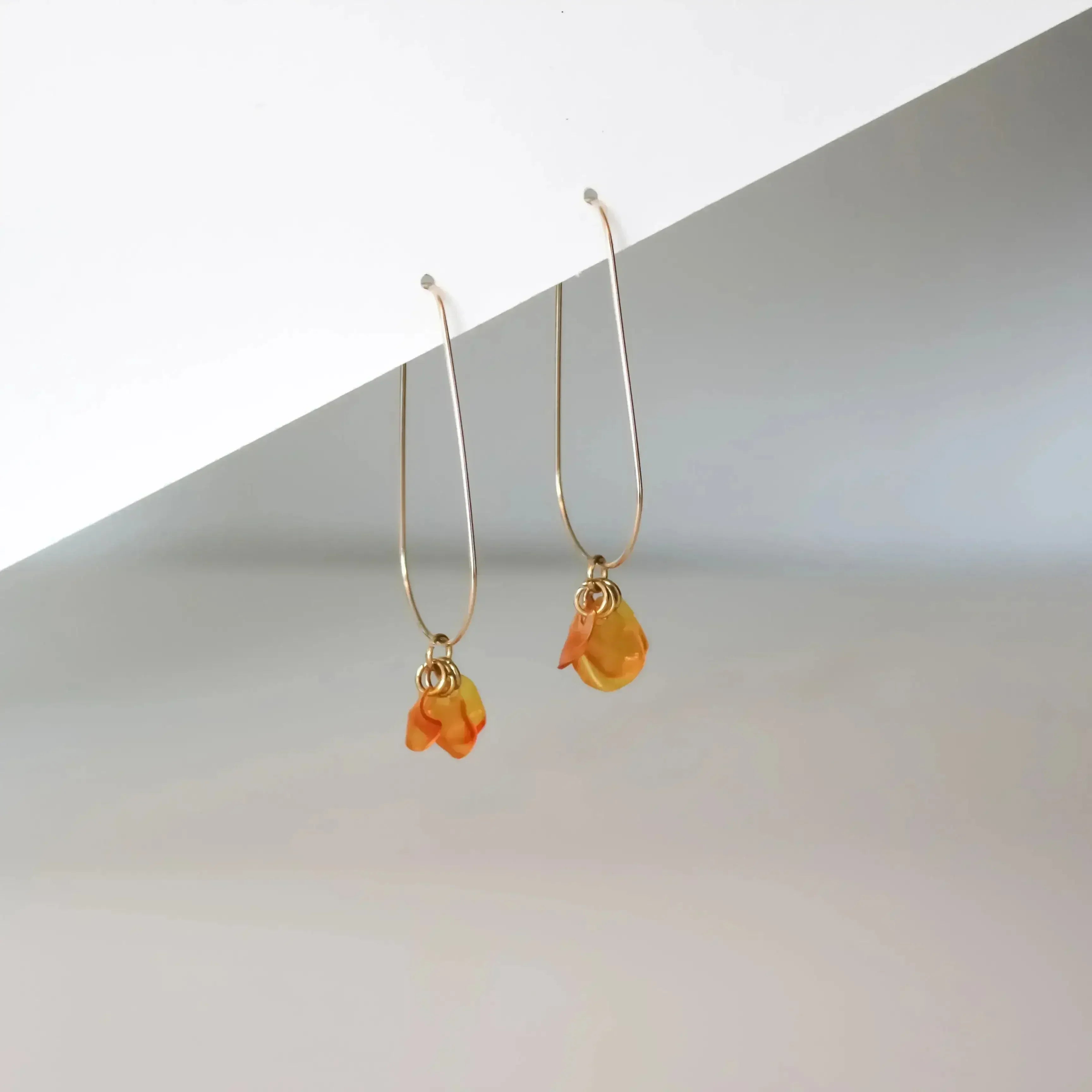 Gouttes d'orange Ginevra