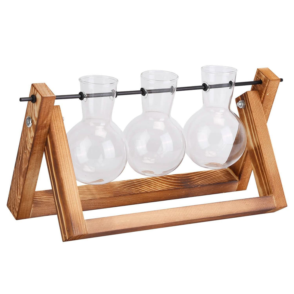 Terrarium de bureau avec ampoule en verre