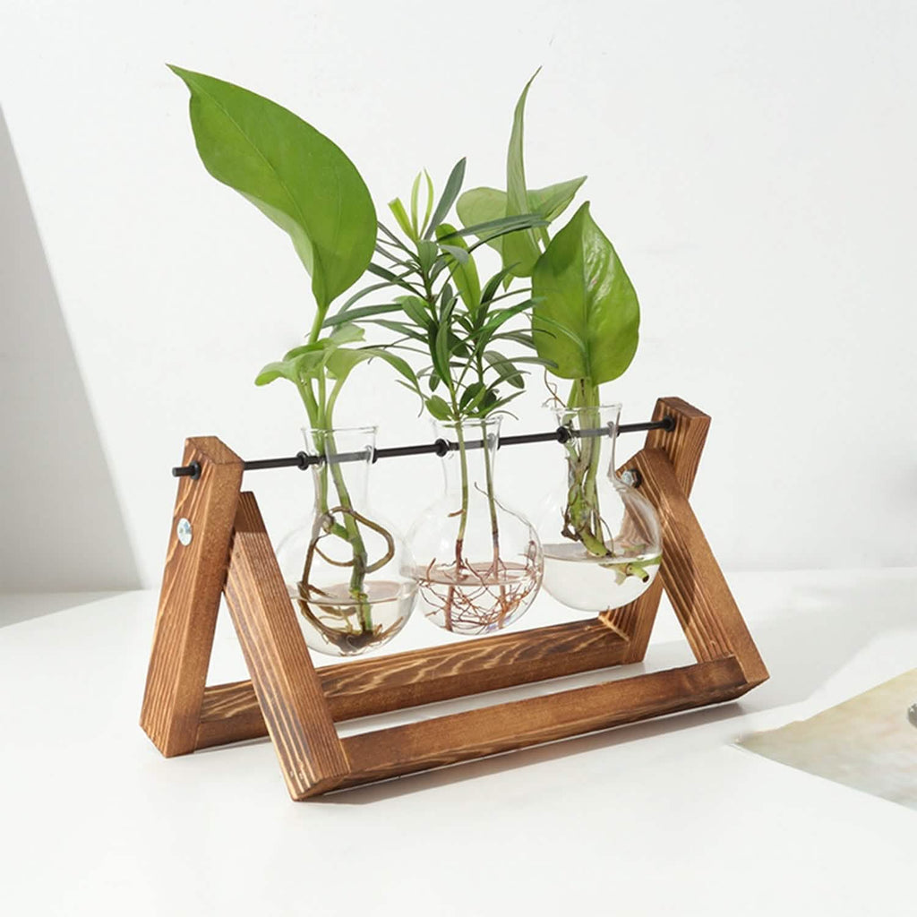 Terrarium de bureau avec ampoule en verre