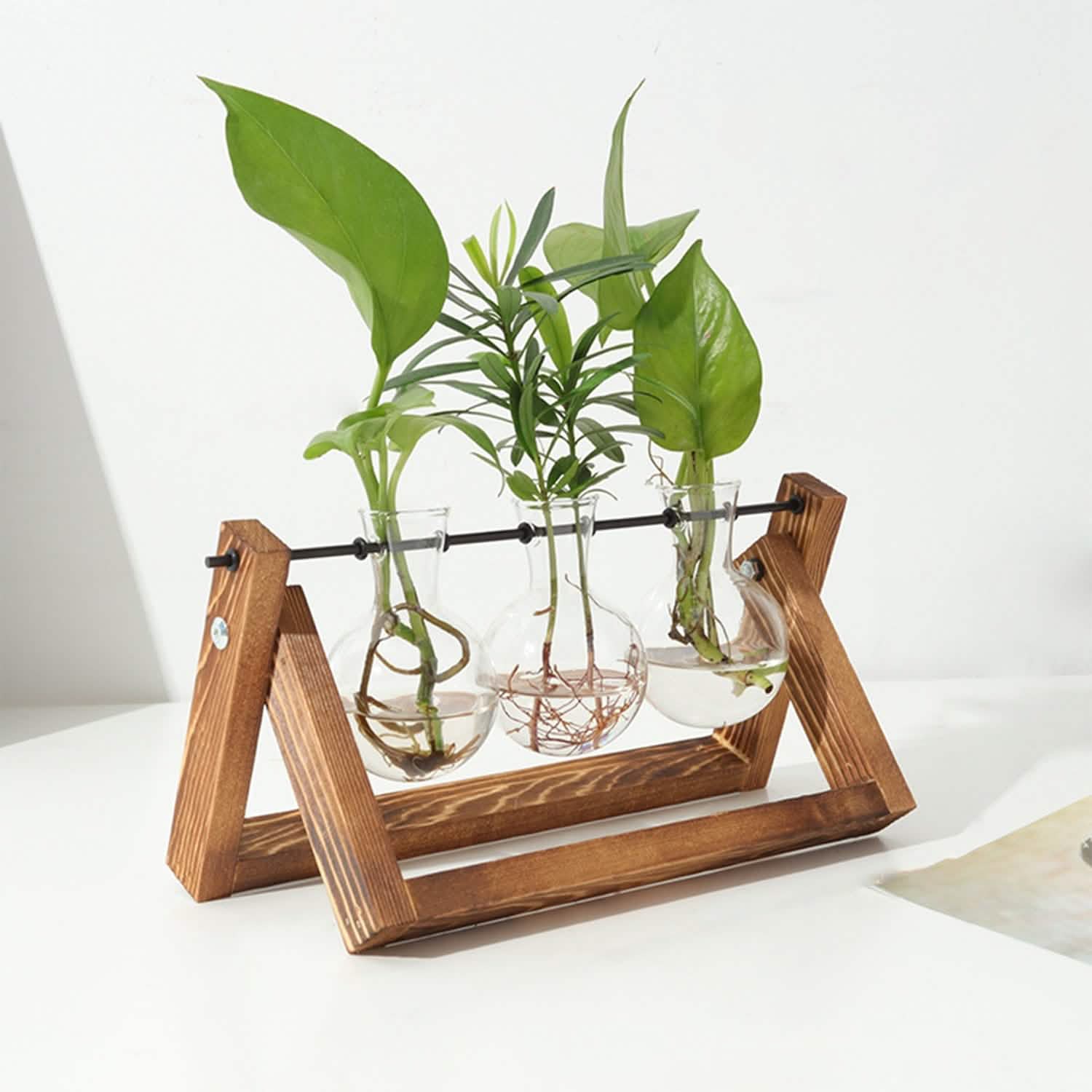 Terrarium de bureau avec ampoule en verre