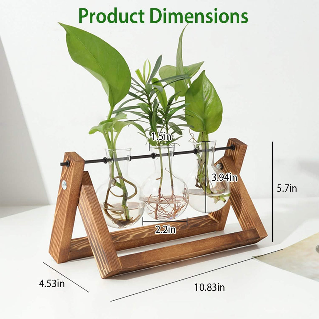 Terrarium de bureau avec ampoule en verre