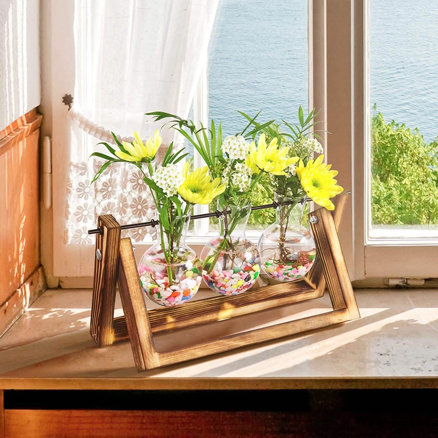 Terrarium de bureau avec ampoule en verre