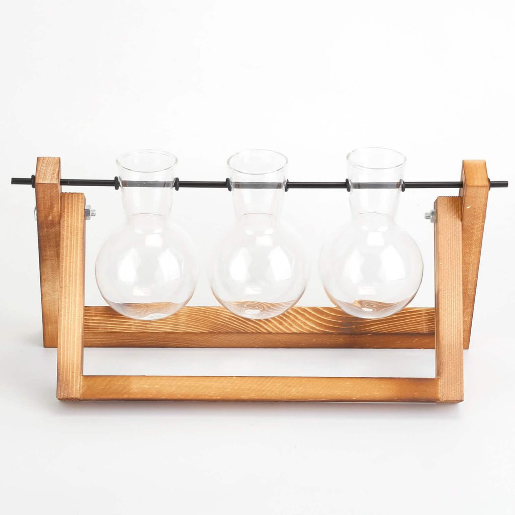 Terrarium de bureau avec ampoule en verre