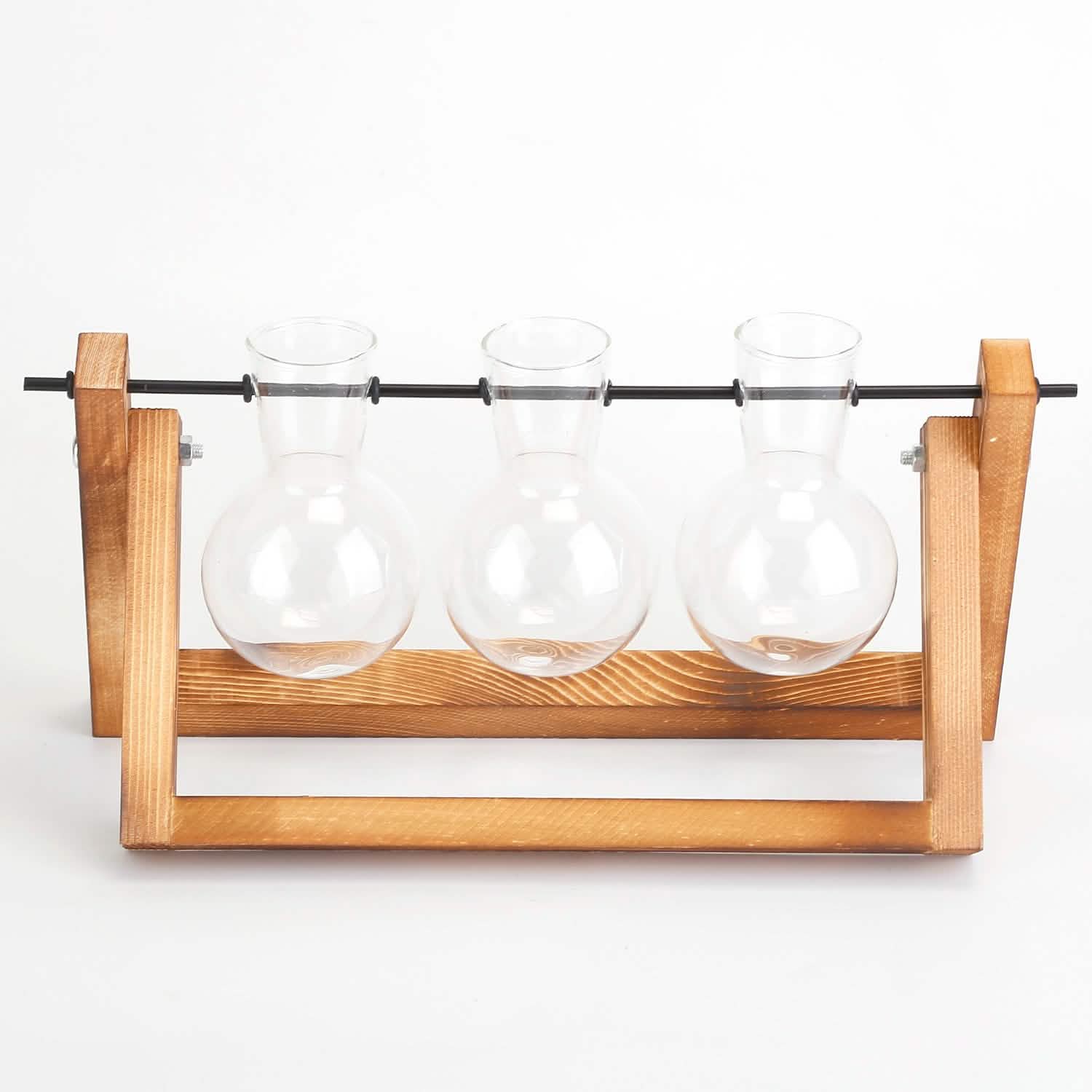 Terrarium de bureau avec ampoule en verre