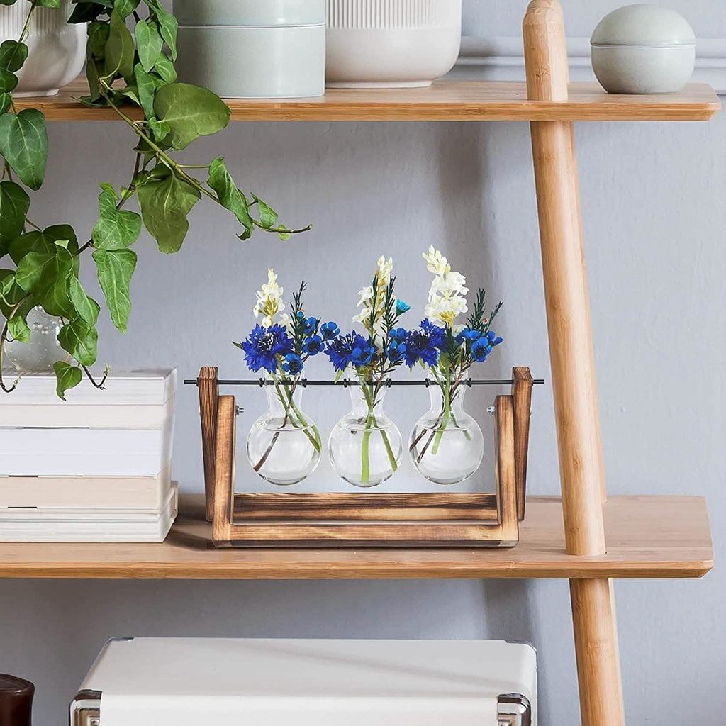Terrarium de bureau avec ampoule en verre