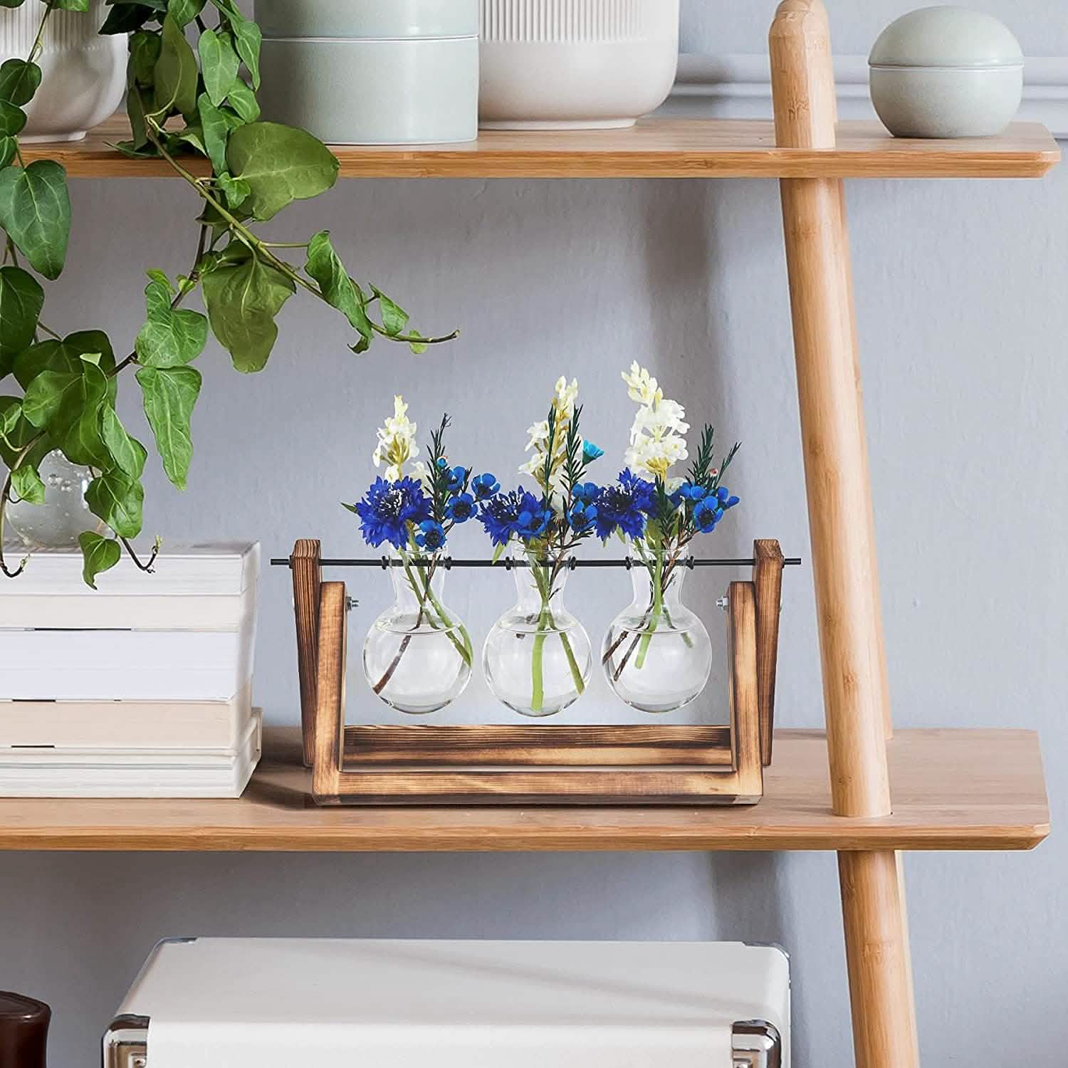 Terrarium de bureau avec ampoule en verre