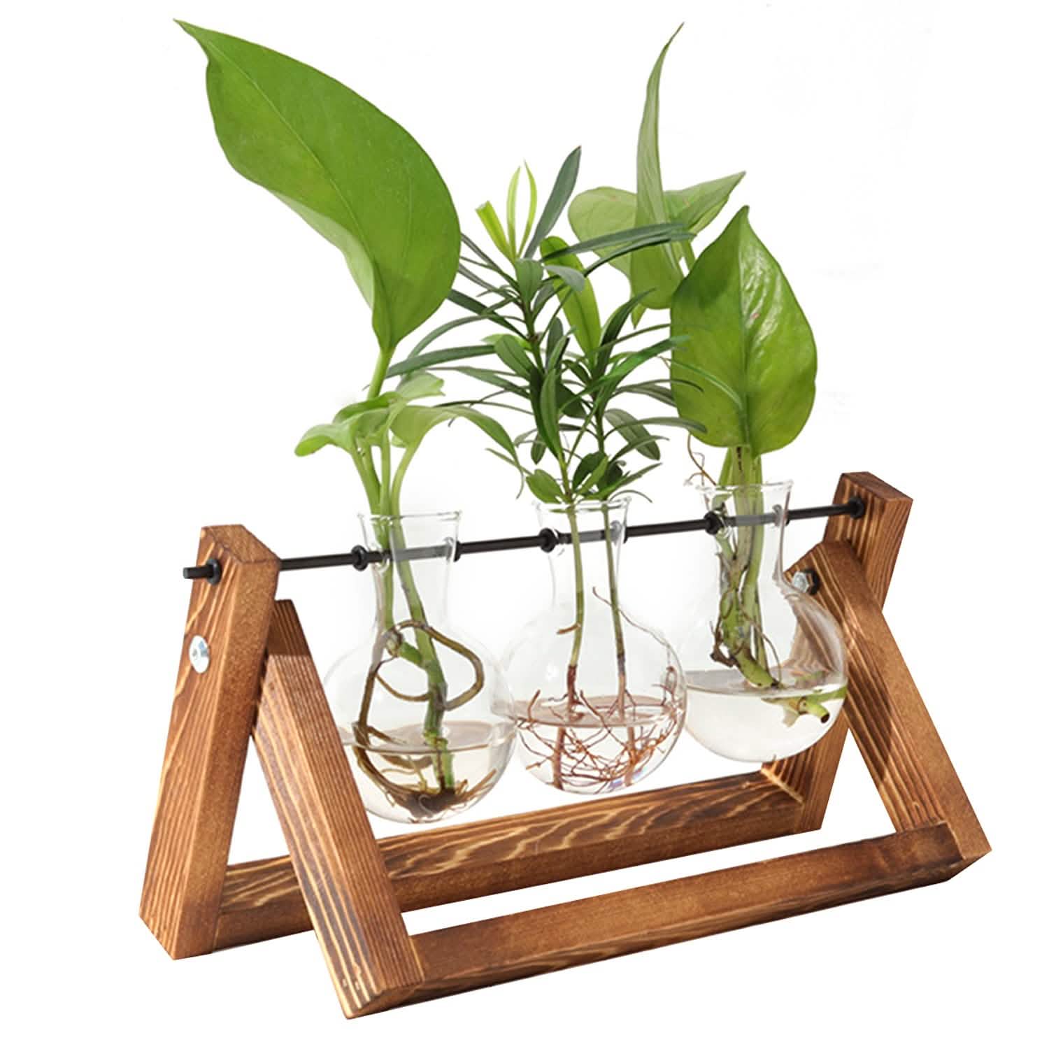 Terrarium de bureau avec ampoule en verre