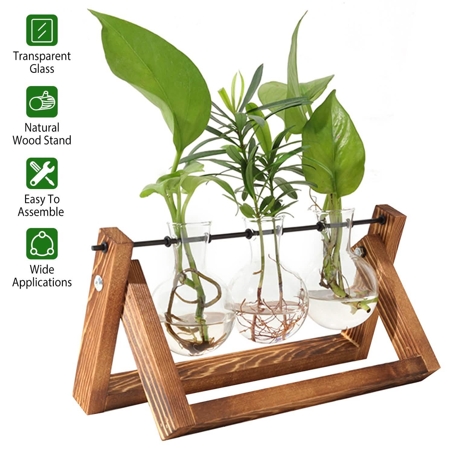 Terrarium de bureau avec ampoule en verre