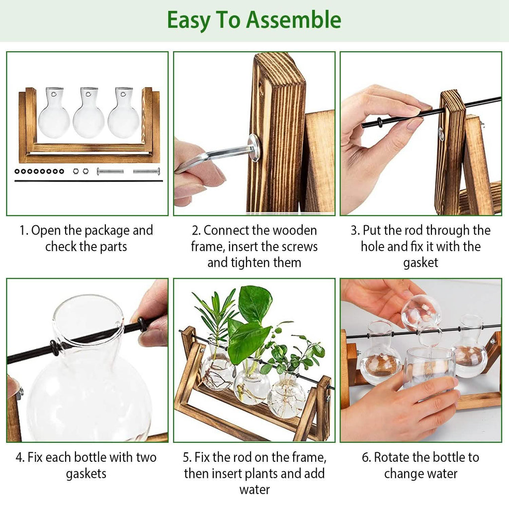 Terrarium de bureau avec ampoule en verre