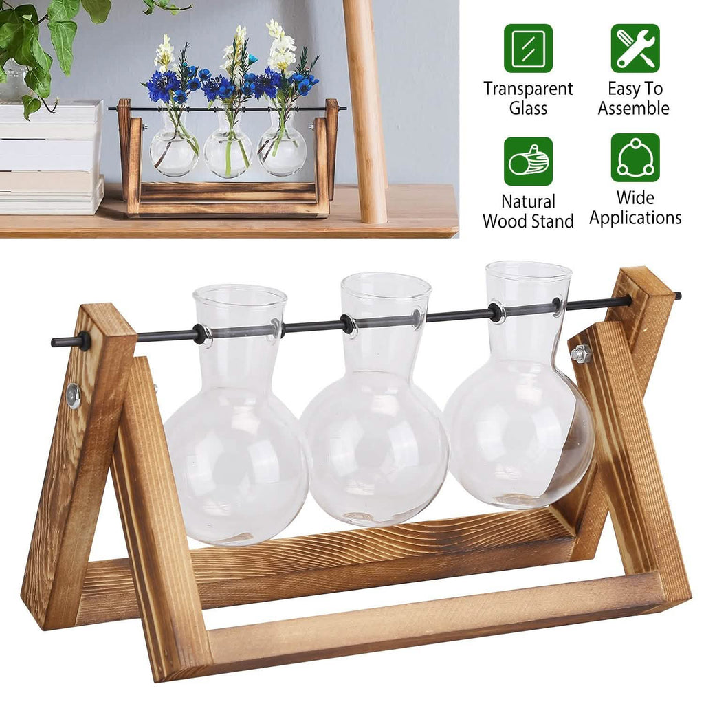 Terrarium de bureau avec ampoule en verre
