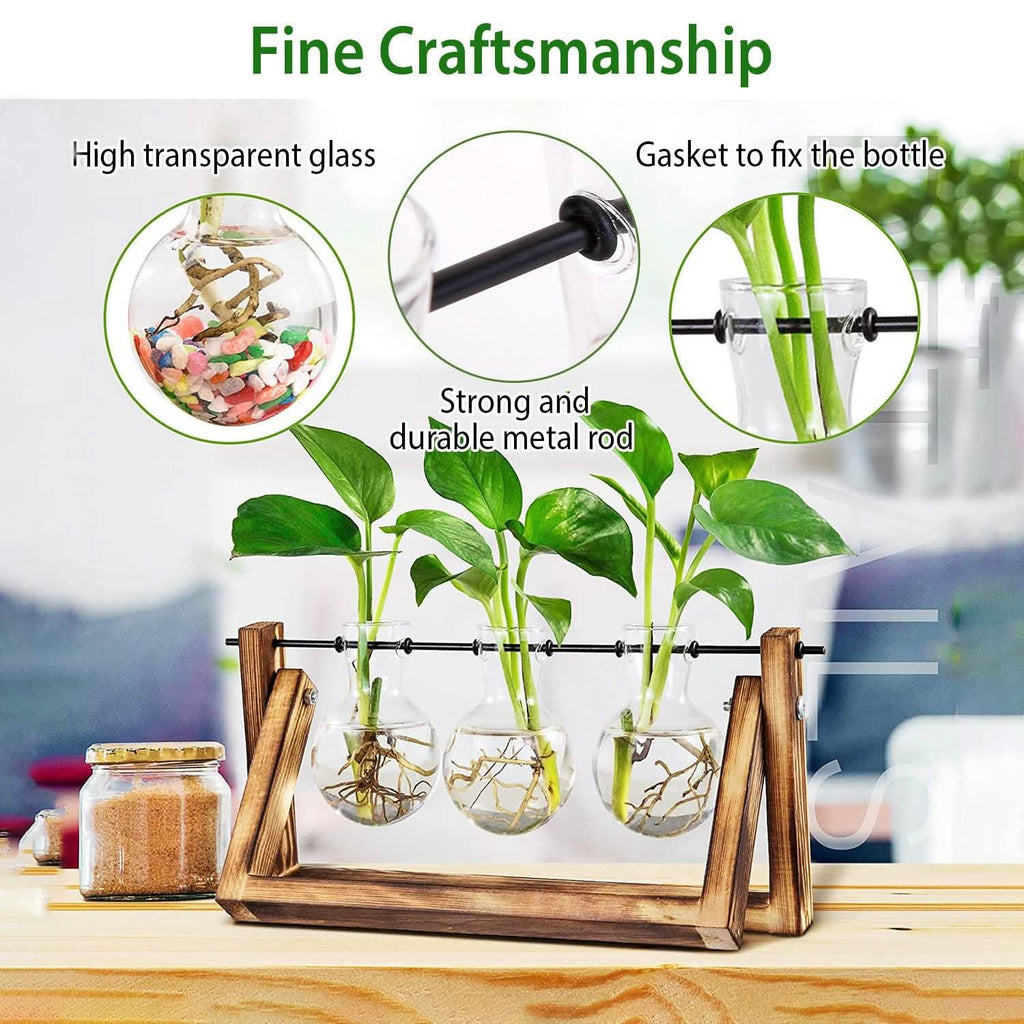 Terrarium de bureau avec ampoule en verre