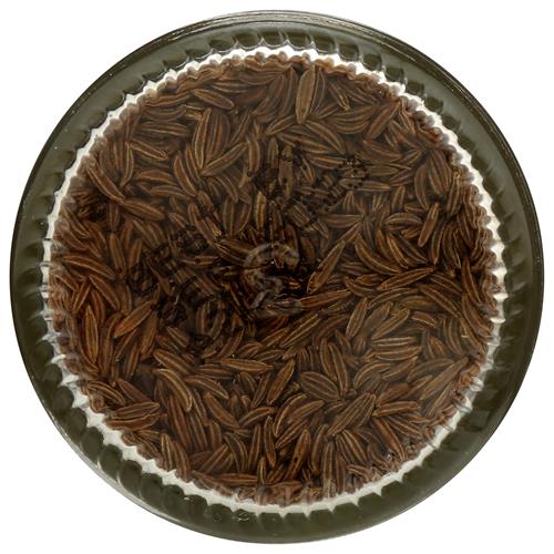Graines de Carvi Biologiques Whole Foods Market, 1,76 oz