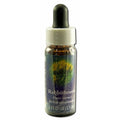 Flower Essence Services Rabbitbrush Compte-gouttes 7 ml - FS0174