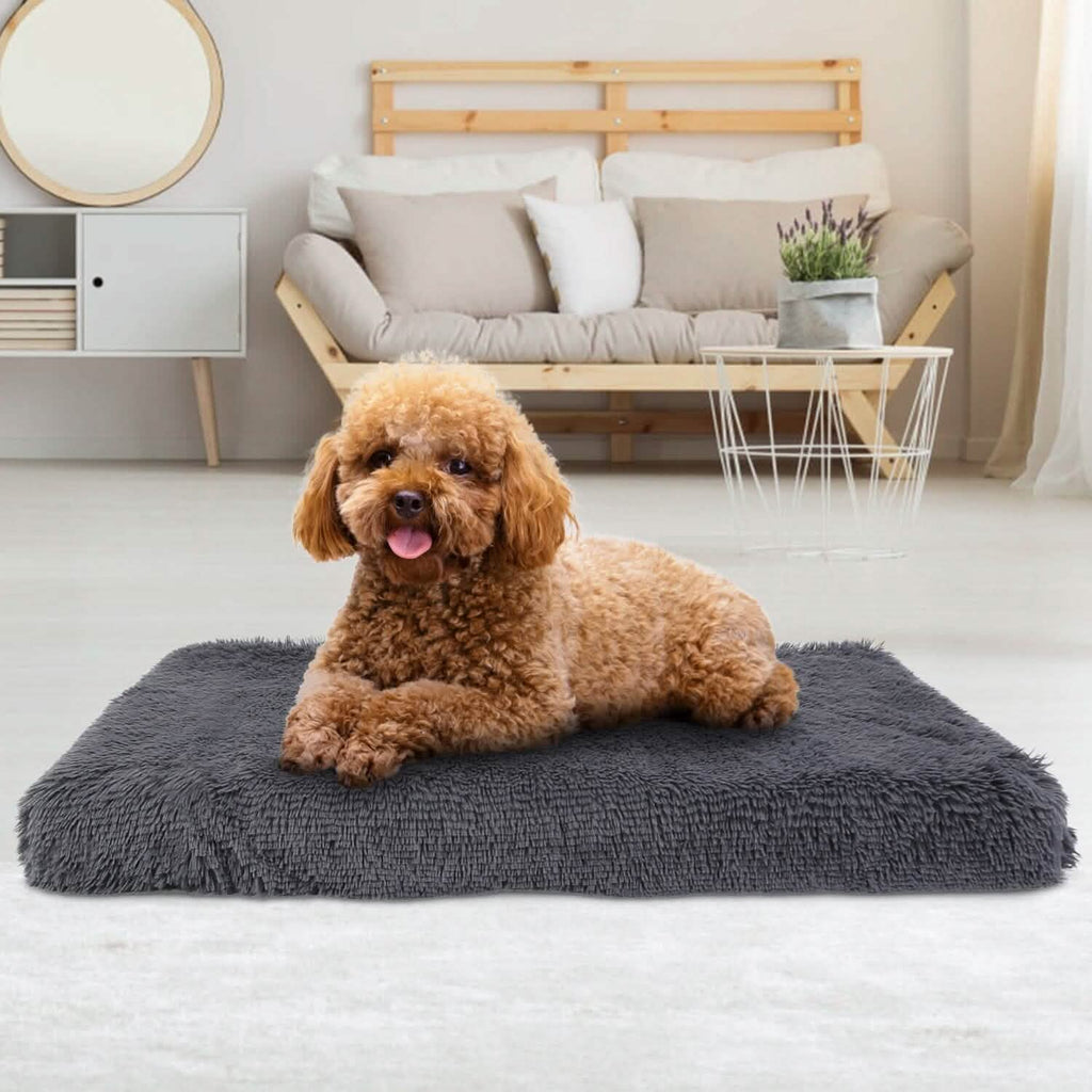 Lit pour chien coussin moelleux en peluche confortable et chaud tapis de cage pour animaux de compagnie tapis pour chien
