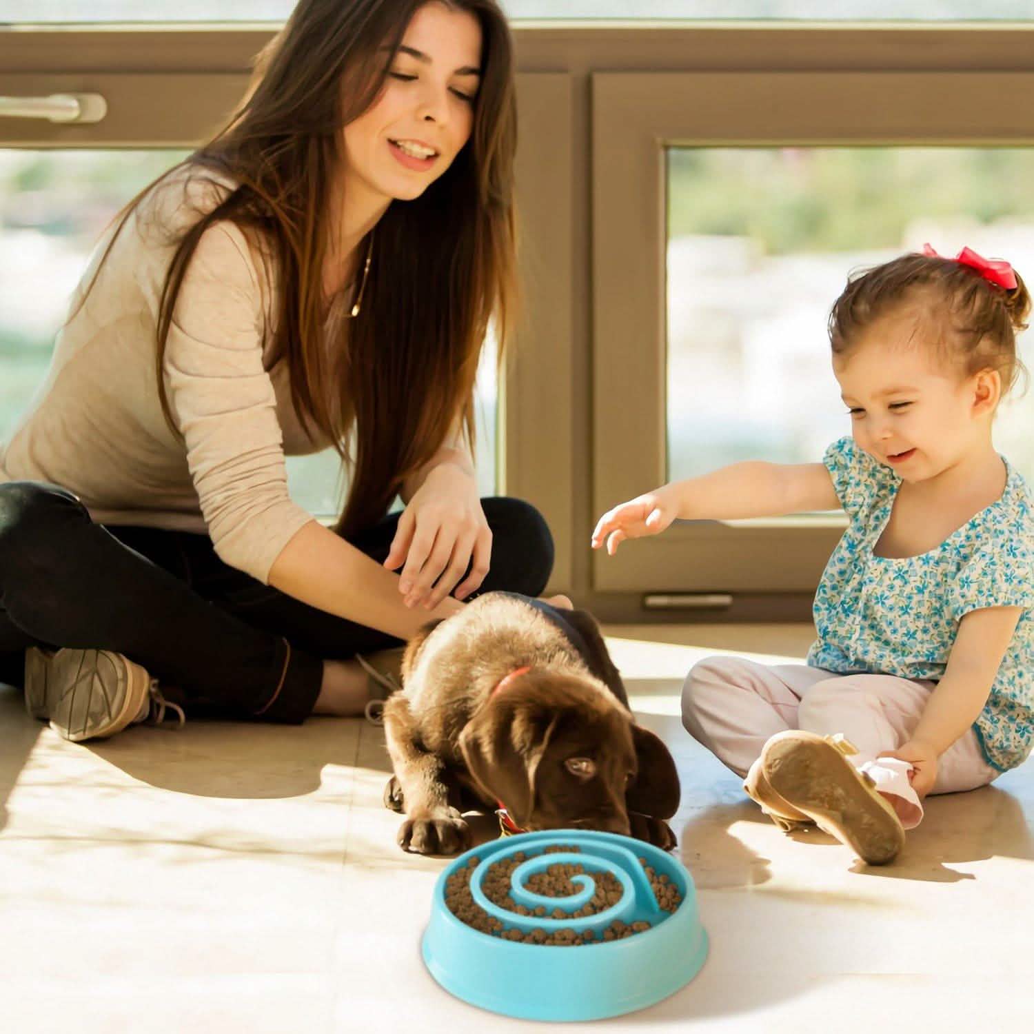 Gamelle anti-glouton pour chien et chat